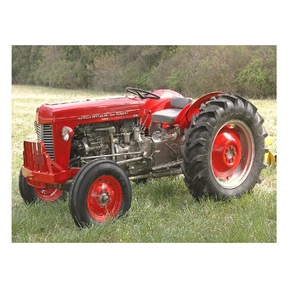 Tractor Massey Ferguson 164 Económico, Tractor Compacto para Viñedos en Venta, Precio Bajo, Equipo Agrícola Profesional, Nuevo Suministro - Product Image 1