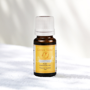 Série Vent, Feu, Eau - Huile Essentielle Pure du Vent 100% Vétiver - Product Image 1