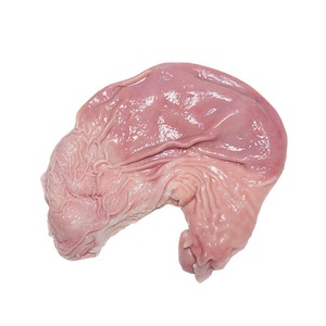 กระเพาะหมูแช่แข็ง, ไส้หมู, แฮมหมู - Product Image 1