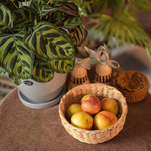 Cesta de agua para cuencos de frutas, cestas de almacenamiento de alimentos respetuosas con el medio ambiente, tejidas, anidadas - Product Image 2