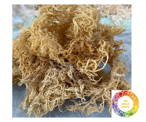 Mousse de mer Offre Spéciale séchée en vrac violet jaune marron Eucheuma Cottonii Vegan à l'état sauvage Mousse de mer d'exportation sans OGM du Vietnam - Product Image 4