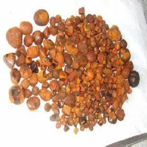 High Quality Natural Gallstones Sell Gallstones COW Gallbladder Stones Gallstones For Sale