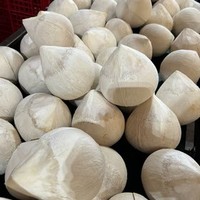 Coco Entero Pulido de Vietnam - Color Natural, Calidad Alimentaria