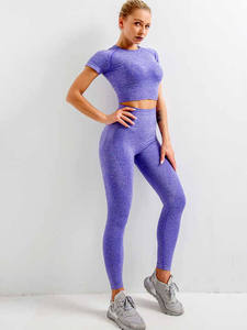 Ropa de entrenamiento personalizada al por mayor, 2 uds., conjunto de gimnasio sin costuras para mujer y trajes de Yoga - Product Image 3