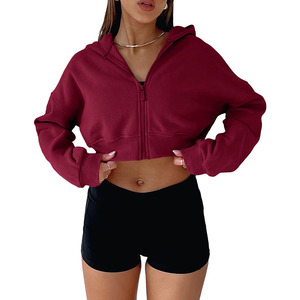 Sudadera corta de manga larga para mujer de alta calidad, Sudadera con capucha, Jersey Y2K con cremallera, ajuste holgado informal para Otoño/Invierno, logotipo frontal - Product Image 1