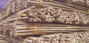 Bastón de bambú-Bastón de estaca de bambú recto seco natural para construcción con suministro de gran tamaño a granel de Vietnam - Product Image 2