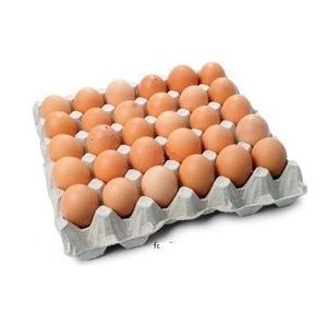 Œufs de poule frais - Œufs de poule à couver fécondés, œufs de poulet de chair blancs et bruns - Product Image 2