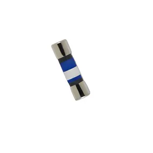 Supplying FLA 5A 125V Fuse 100% Original Product in stock fast delivery