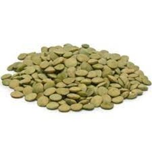 Organic Large Green <b>Lentils</b> For Sale - Product Image 2