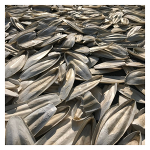 Os de seiche en gros pour oiseaux et tortues, riche en calcium naturel, emballage personnalisé pour l'exportation disponible - Product Image 4