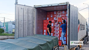 Fruta de dragón roja fresca, marca personalizada, venta al por mayor, alta calidad, mejor fruta de dragón lista para enviar - Product Image 5