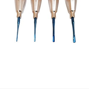 Ensemble de 4 éleveurs dentaires droits - Instruments d'extraction dentaire en acier inoxydable de qualité supérieure pour la chirurgie buccale - Product Image 5