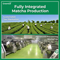 OEM al por mayor, nuevo té matcha instantáneo 100% puro y orgánico, grado S 6S, 1 kg, adelgazante, conforme a la normativa de la UE, envasado a granel en bolsa.