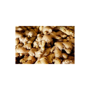 ขิงสดเพื่อเสริมสร้างจิตโฟกัสและความคมชัด - Product Image 5