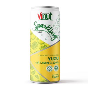 250ml Espumoso Jugo de melocotón Colágeno Vitamina C 200% Bebida Producto caliente Venta caliente Etiqueta privada OEM BRC Certificado HALAL - Product Image 2