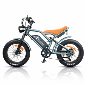 Motocicleta Todoterreno de Alto Rendimiento, 200cc/300cc, Motor sin Escobillas, Encendido CDI, Arranque a Patada, Transmisión por Cadena, para Conducción en Senderos - Product Image 1