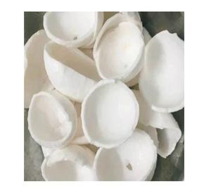 Solution de cuisson pratique de noix de coco congelée avec approvisionnement en gros de tranches et de lanières de morceaux parfaite pour la vente au détail et le service alimentaire - Product Image 1