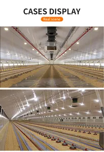 Automatic Chicken House Lighting System For Hen Pig Broiler Livestock Poultry Lamp