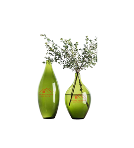 Jarrón de color primario de lujo con luz moderna y sencilla, redondo, boca grande, flores cultivadas con agua, arreglo floral, adornos para el salón - Product Image 3