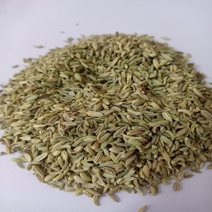 Graines de fenugrec naturelles à 99 % de pureté, récolte 2023, en vente par RGPL à un prix très compétitif, durée de conservation de 1 an - Product Image 3
