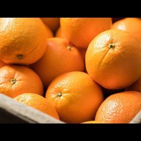 Mandarina natural 98% Nobiletin - Product Image 3