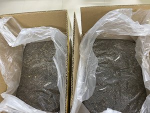 Traitement des graines de papaye séchées Graines noires du Vietnam pour l'importation, l'exportation de haute qualité 2023 - Product Image 3
