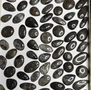Cabochon de corail fossile noir naturel de haute qualité 100% pierres précieuses en vrac pour la décoration de bijoux faits à la main OEM disponible - Product Image 2