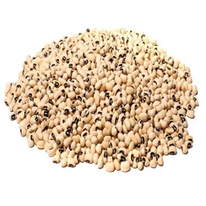 Haricots noirs de la meilleure sélection agricole pour les grossistes en céréales, offrant une qualité naturelle fraîche avec une expédition mondiale sécurisée - Product Image 1