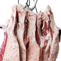 Viande de buffle congelée WATSON, emballée en vrac, partie du corps avec processus BQF, qualité alimentaire, USA