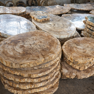 Plateau de table en bois pétrifié naturel sur mesure en gros pour tables basses - Product Image 5