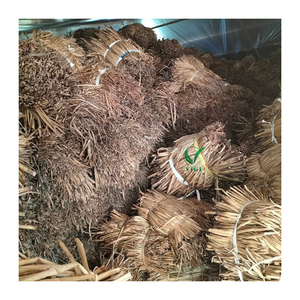Suministro sostenible con base en Vietnam de fibra cruda de jacinto de agua seca para artesanías tejidas, diseño textil y cestería - Product Image 3