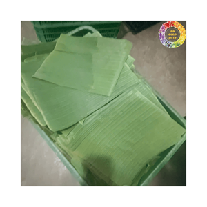 ใบตองแช่แข็งใบสดสำหรับร้านอาหารโรงแรมและซัพพลายเออร์อาหารนานาชาติ - Product Image 1