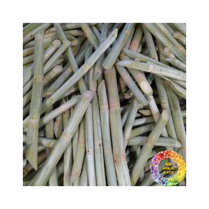 <b>Vacuum</b> Packed Frozen Sugarcane <b>Sticks</b> Sweet and Convenient for Juicing and Recipes Perfect for Food Industry Use - Product Image 4