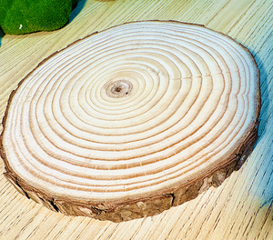Arte de Pared de Madera de Pino y Acrílico, Personalizado, Pintado a Mano, Color y Logotipo Personalizables, Multifuncional, para Hogar/Oficina - Product Image 2