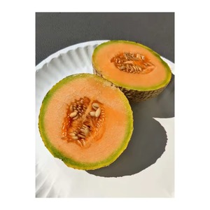 แคนตาลูปสดหวานฉ่ำสำหรับฟาร์ม - Product Image 4