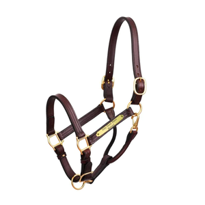 Premium 1 "cuir spectacle licou avec plaque intelligente - Product Image 3