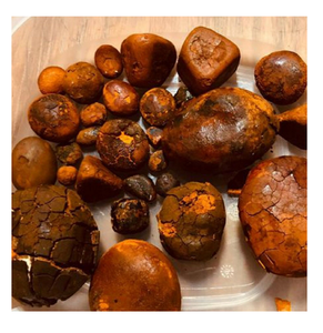 Cálculos biliares animales naturales de alta calidad a la venta a precio barato disponibles a granel para exportación Comprar cálculos biliares animales a granel - Product Image 5