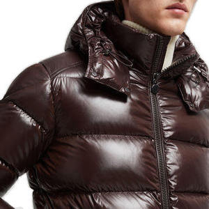 Chaqueta Acolchada Unisex de Lona Brillante con Capucha Desmontable, Abrigo de Invierno Aislante, Prenda Exterior Brillante con Logotipo Frontal, Resistente al Viento - Product Image 5