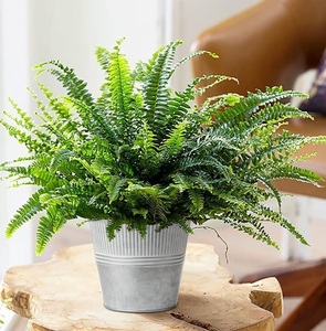Seau de jardinière en métal galvanisé à la mode pour la maison Pot de fleur et jardinières à la main à usage décoratif intérieur extérieur - Product Image 1