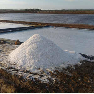 เกลือทะเลหยาบธรรมชาติจากเวียดนามสำหรับอุตสาหกรรมอาหารทั่วโลก - Product Image 6