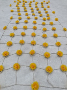 Perle florale jaune Dupatta Cape fleur chaîne couvrir Haldi Mehndi tenue de mariage mariée Haldi cérémonie Lehenga Duaptta - Product Image 2