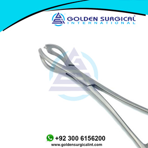 Pince à tissus Lane, pince à serviette chirurgicale/pince fabriquée par Golden Surgical International, outil de préhension opératoire - Product Image 4