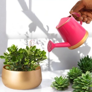 Latas de agua de metal Proveedor de jardín Regadera de plantas Última artesanía Metal Nuevo diseño Regadera para el jardín del hogar Uso diario - Product Image 4