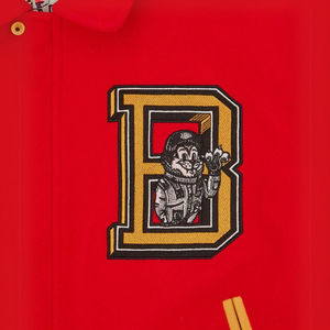 Chaqueta universitaria de béisbol americana hecha a medida Unisex, relleno de algodón de alta calidad, impermeable, temporada de invierno, bordado de talla grande - Product Image 5