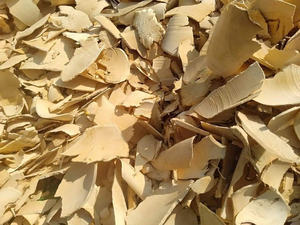 รากตองกัตอาลีแห้งแบบหั่นเป็นชิ้นและแบบผง ผลิตภัณฑ์สมุนไพรรสเดียว - Product Image 2