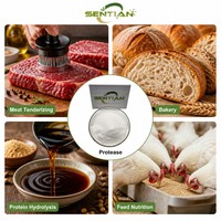 Poudre d'enzyme subtilisine de qualité alimentaire 200 000 U/g pour la hydrolyse des protéines