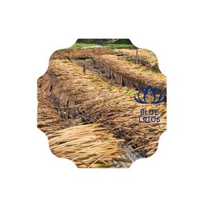 Produit du Vietnam de la ferme de lotus bleu de jacinthe d'eau séchée écologique au meilleur prix fabriqué au Vietnam - Product Image 1