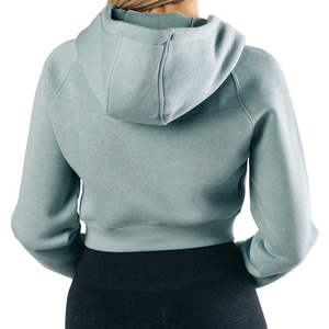 Sweat-shirt à capuche décontracté sexy pour femmes, manches longues, taille plus, automne hiver, haut court uni, pull, vente en gros - Product Image 3