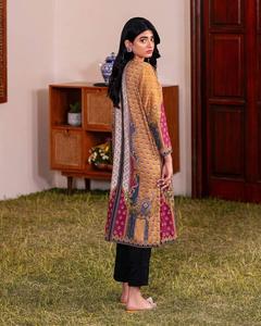 Mejor calidad paquistaní indio Shalwar Kameez colección bordado frente trabajo hecho a mano espalda bordado PUNJABI vestido AFGHANI vestido - Product Image 4