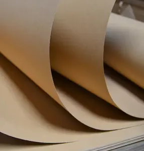 Fabricant rouleau de papier d'emballage kraft imperméable brun PE enduit de silicone papier kraft recyclé